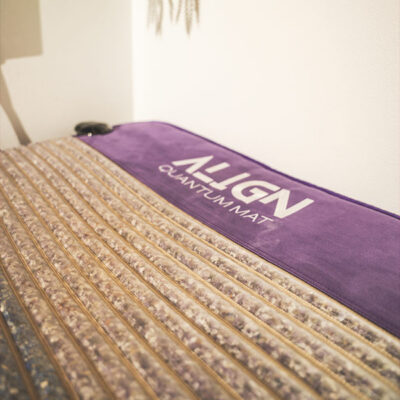 Nervous System Reset